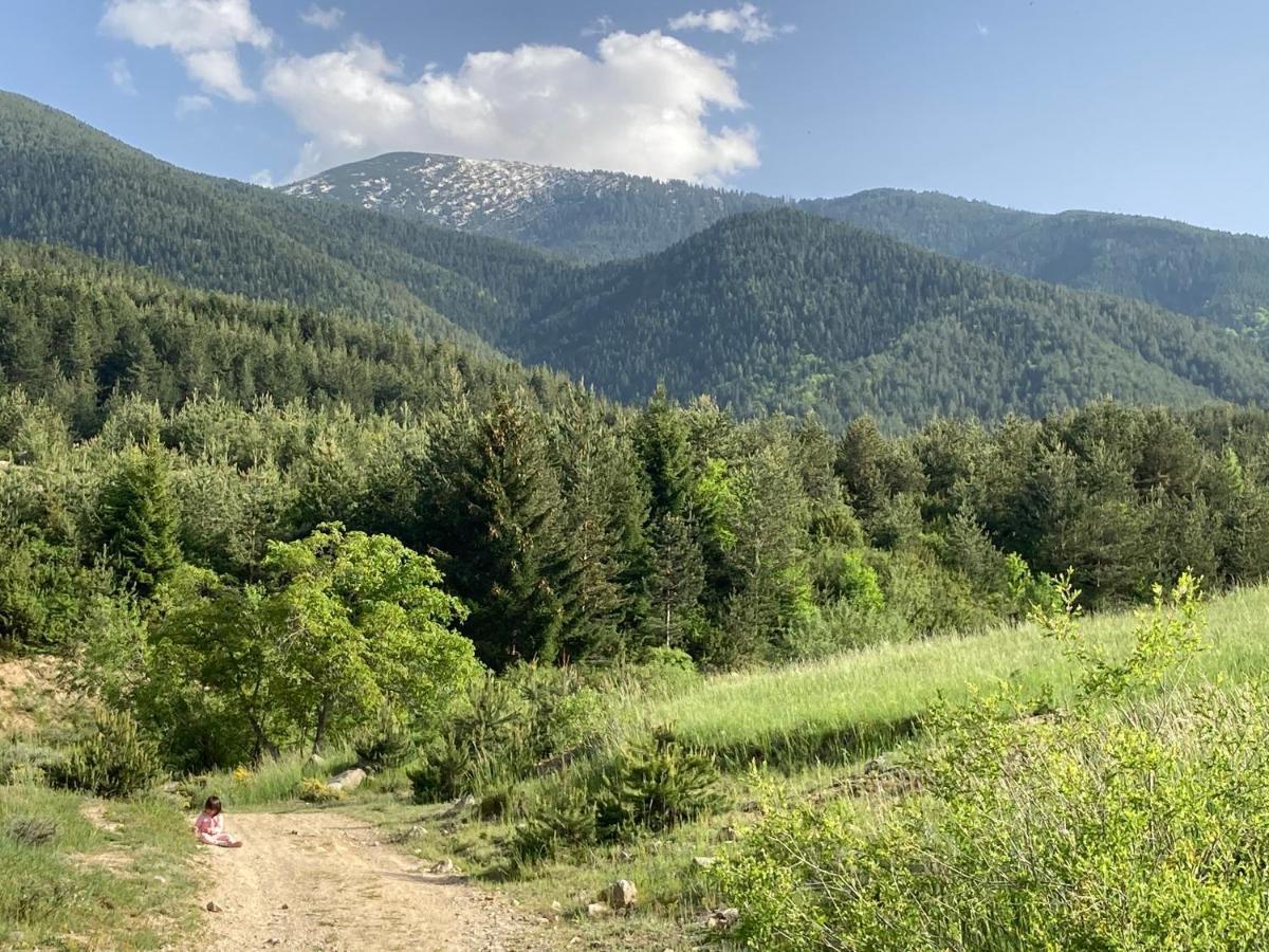 Mirabell Studio Bansko - Amazing View & Fireplace ภายนอก รูปภาพ